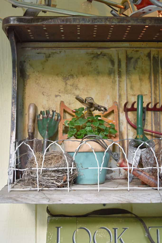 Vintage garden tool display.