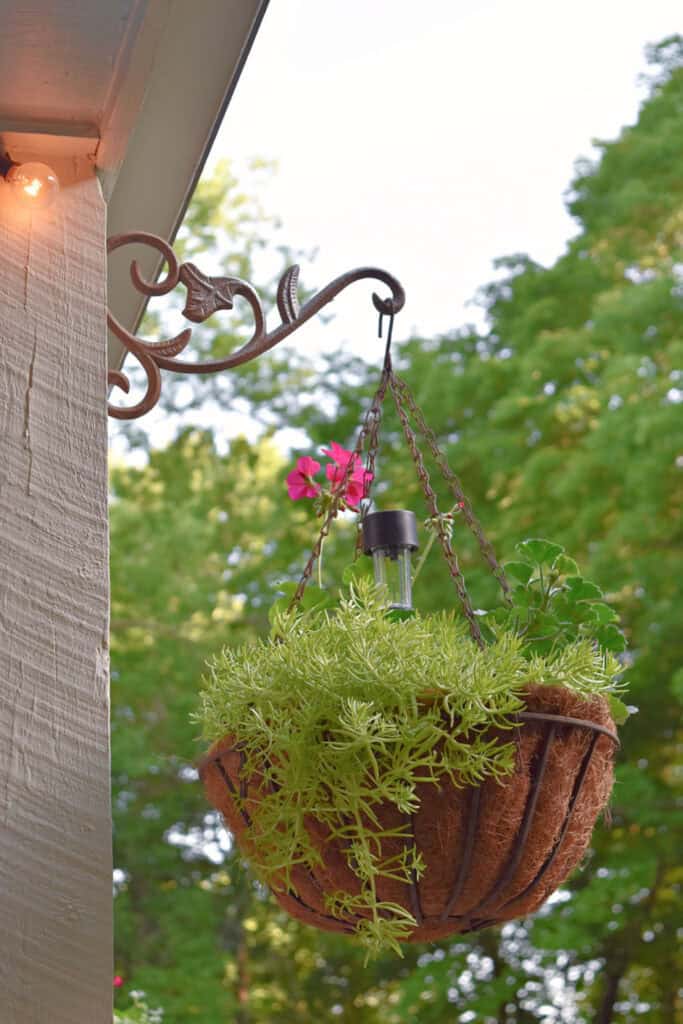 Hanging summer flower pot.