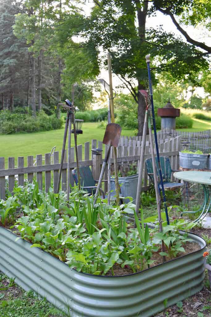 Vego raised bed gardens and picket fence.
