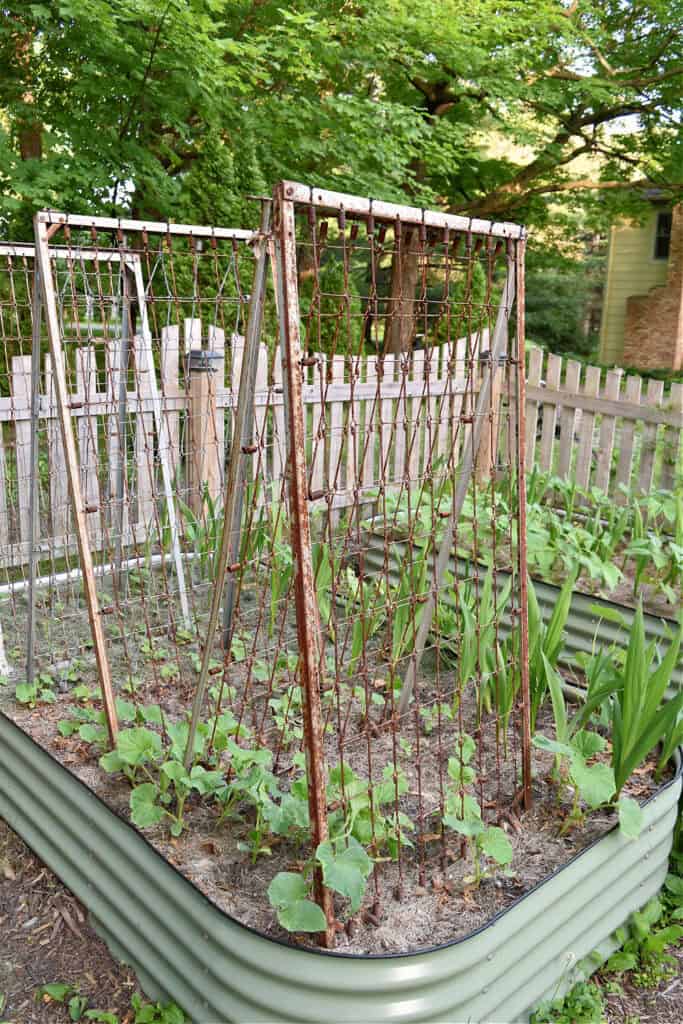 Upcycled junk garden.
