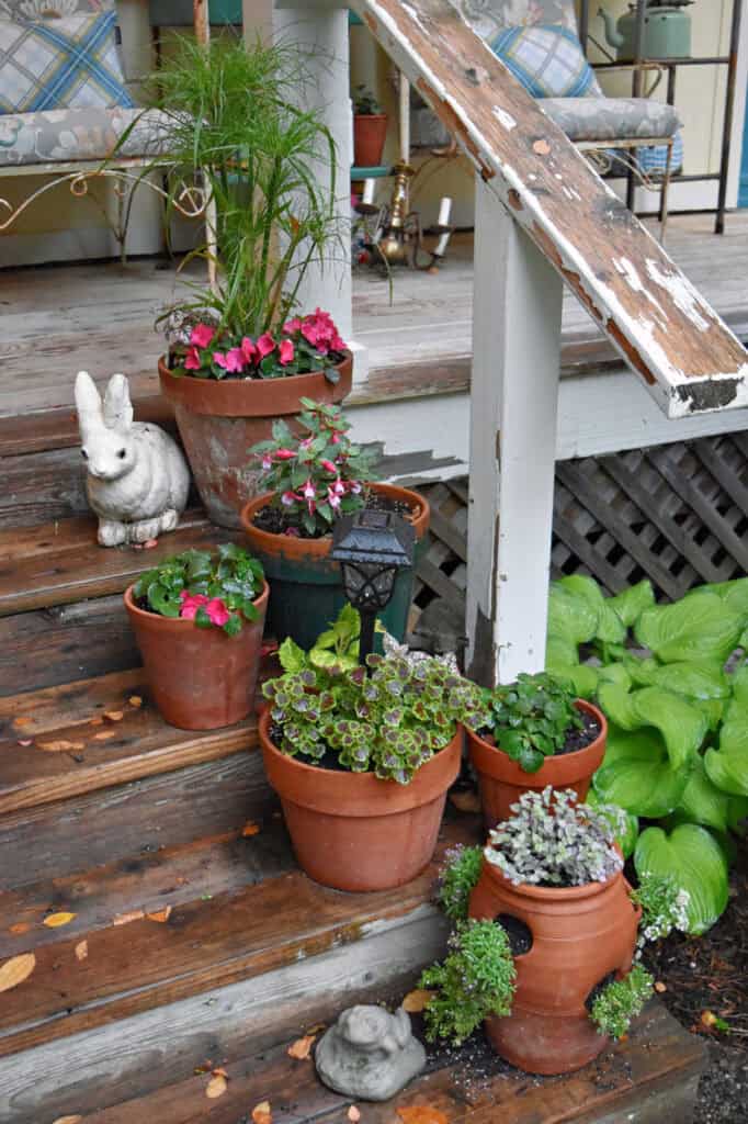 Flower pot containers on porch steps