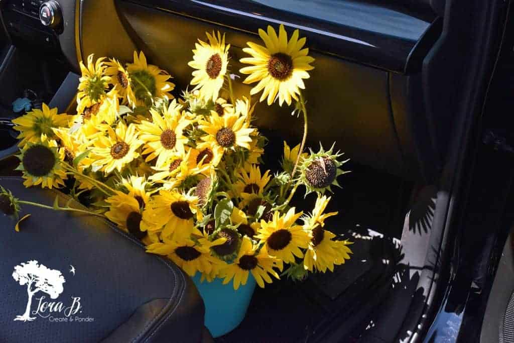 wild sunflowers