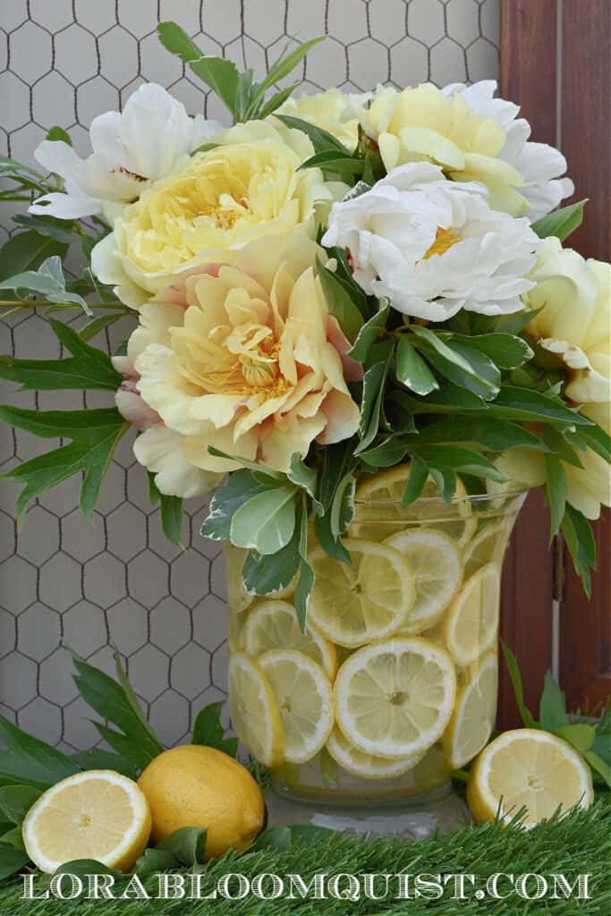 Yellow and white peony floral arrangement with lemons.