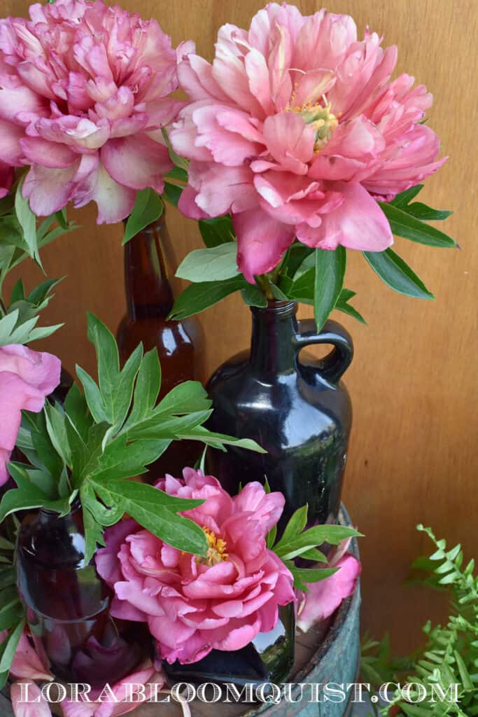 Coral peonies in amber glass vases.