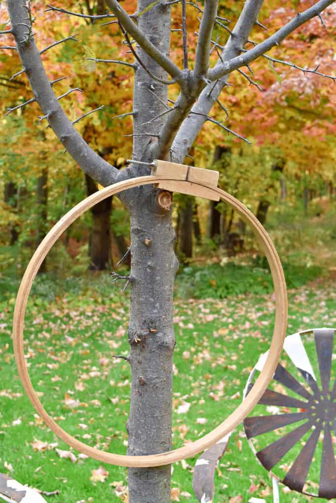 Large embroidery hoop on tree.