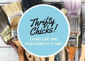 Thrifty Chicks logo