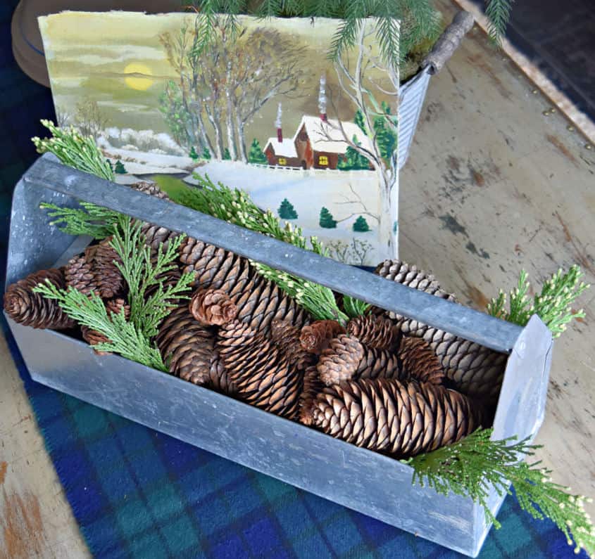 Pineconesand greens in metal tool caddy.