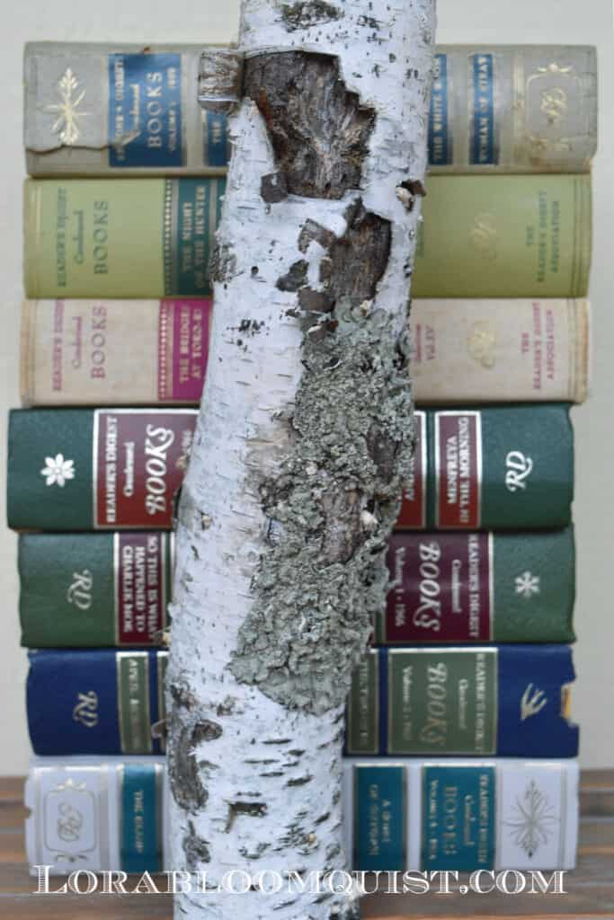 Birch branch and old books