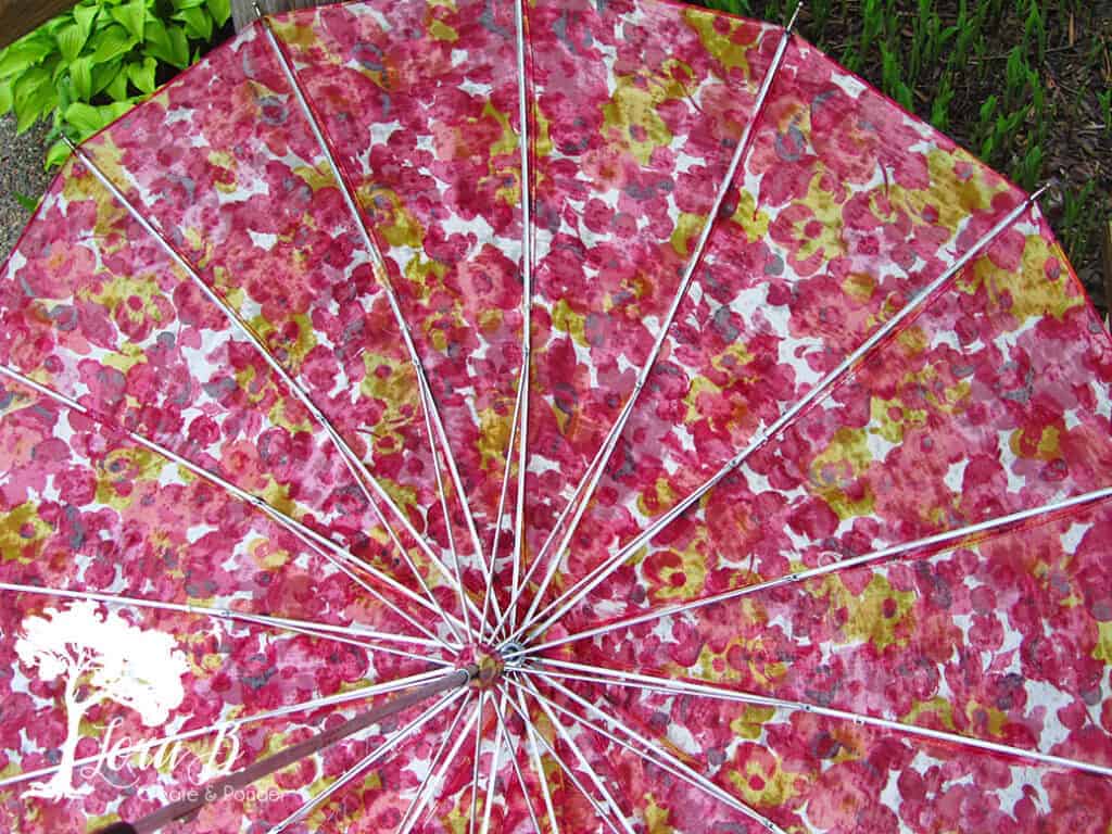 vintage umbrella