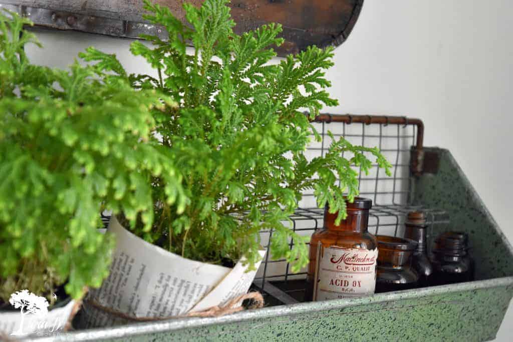 Valentines Day Decor in the Kitchen