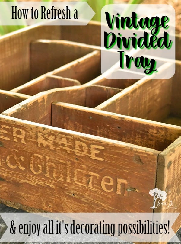 Vintage Divided Tray
