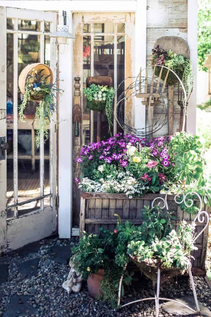 Garden shed door and flowers in windowbox.