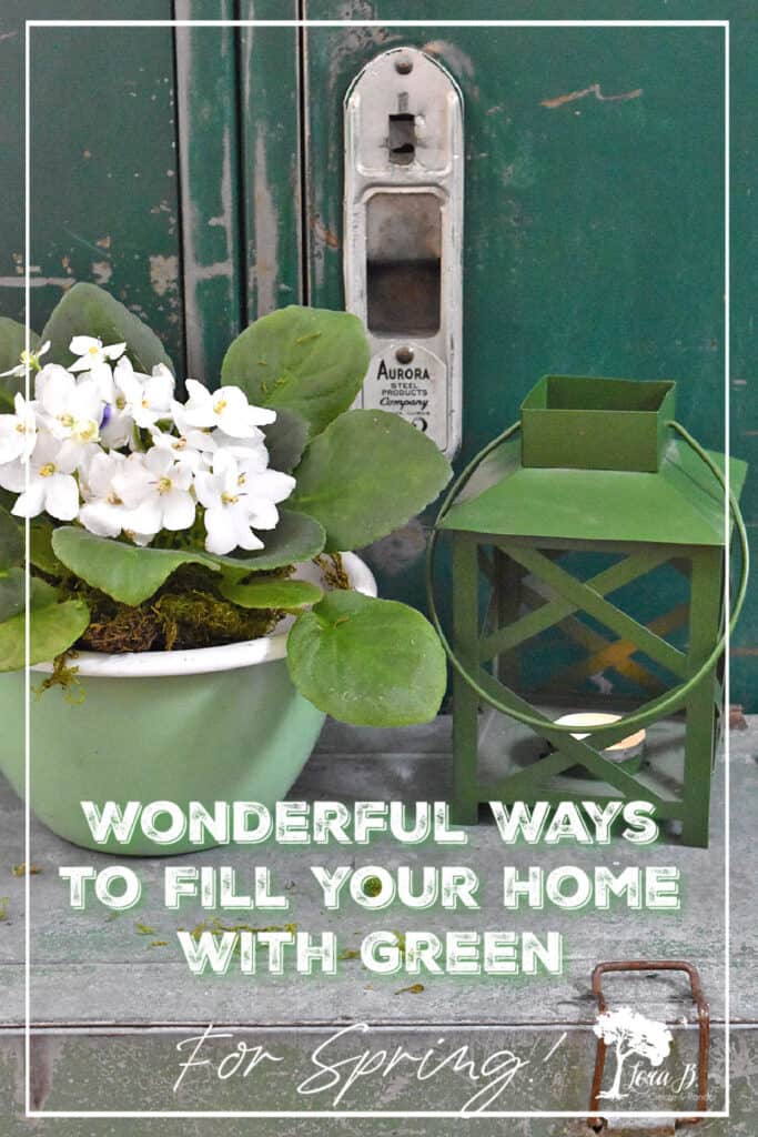 Green home decor & DIY for Spring