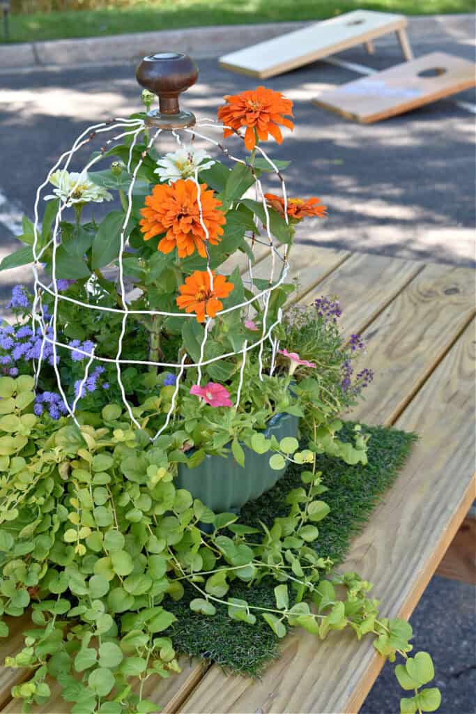 Vintage garden fencing cloche with summer flowers.