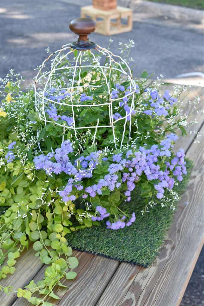 Vintage garden fencing cloche with summer flowers.