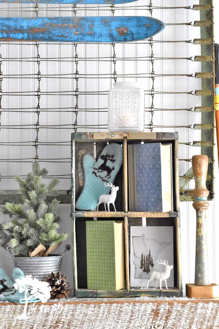 35+ Decorative Bowl Filler Ideas for Beautiful (& easy) Winter and