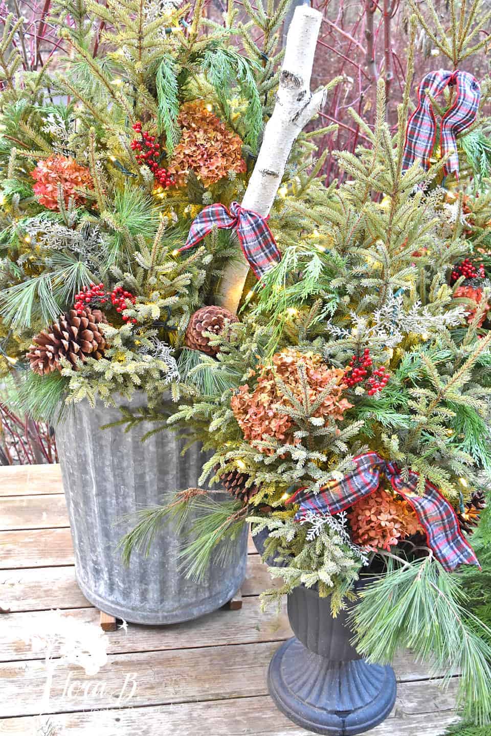 5 Ways to Make Your Outdoor Winter Containers Beautiful - Lora ...